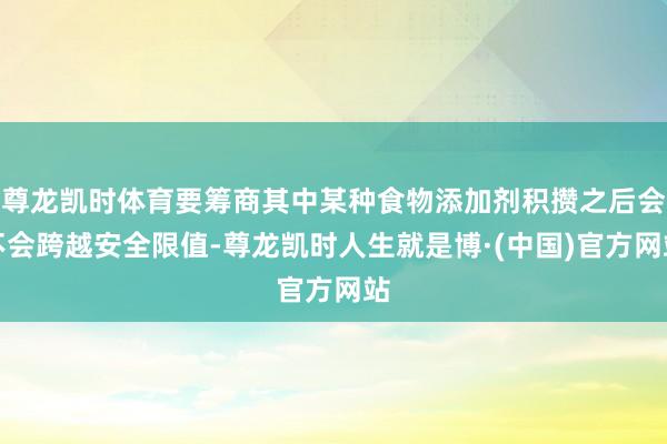 尊龙凯时体育要筹商其中某种食物添加剂积攒之后会不会跨越安全限值-尊龙凯时人生就是博·(中国)官方网站