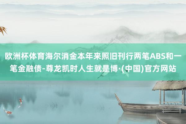 欧洲杯体育海尔消金本年来照旧刊行两笔ABS和一笔金融债-尊龙凯时人生就是博·(中国)官方网站